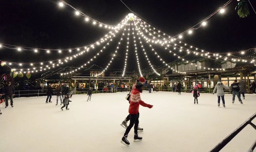 冬季世界冠军,世界冠军的辛酸