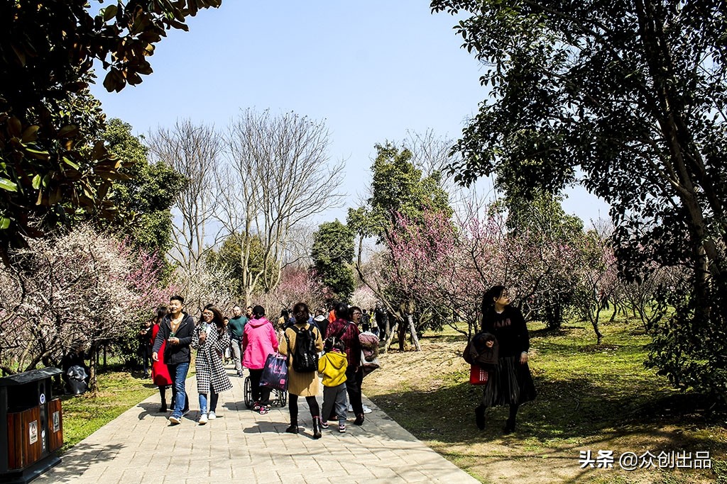 南京第一梅山,南京梅山和梅花山