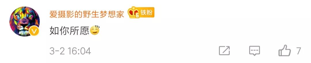 男子诈骗被发现依然礼貌,诈骗者挑衅公安机关后被抓