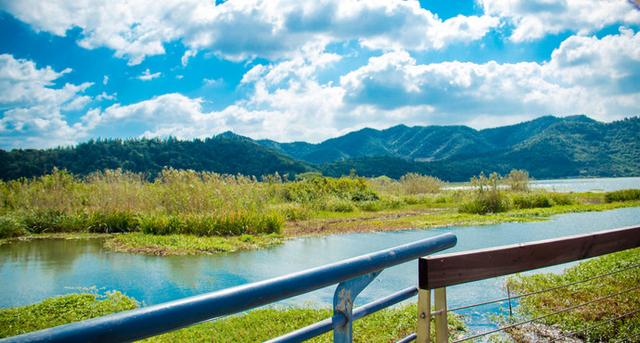 宁波到义乌再修一条高铁吗,宁波到温州新的高速