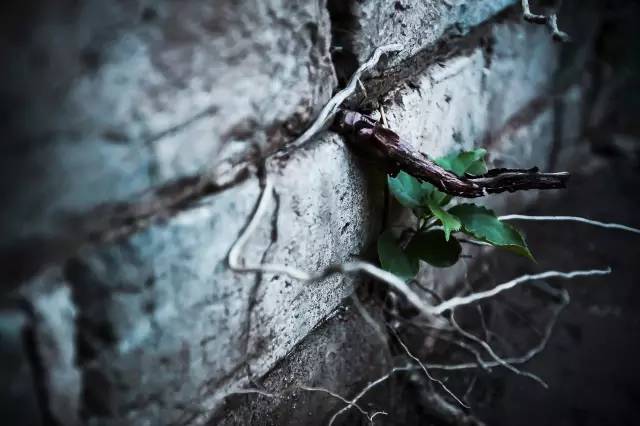 如何用好35mm焦段,35焦段拍摄的优点和缺点