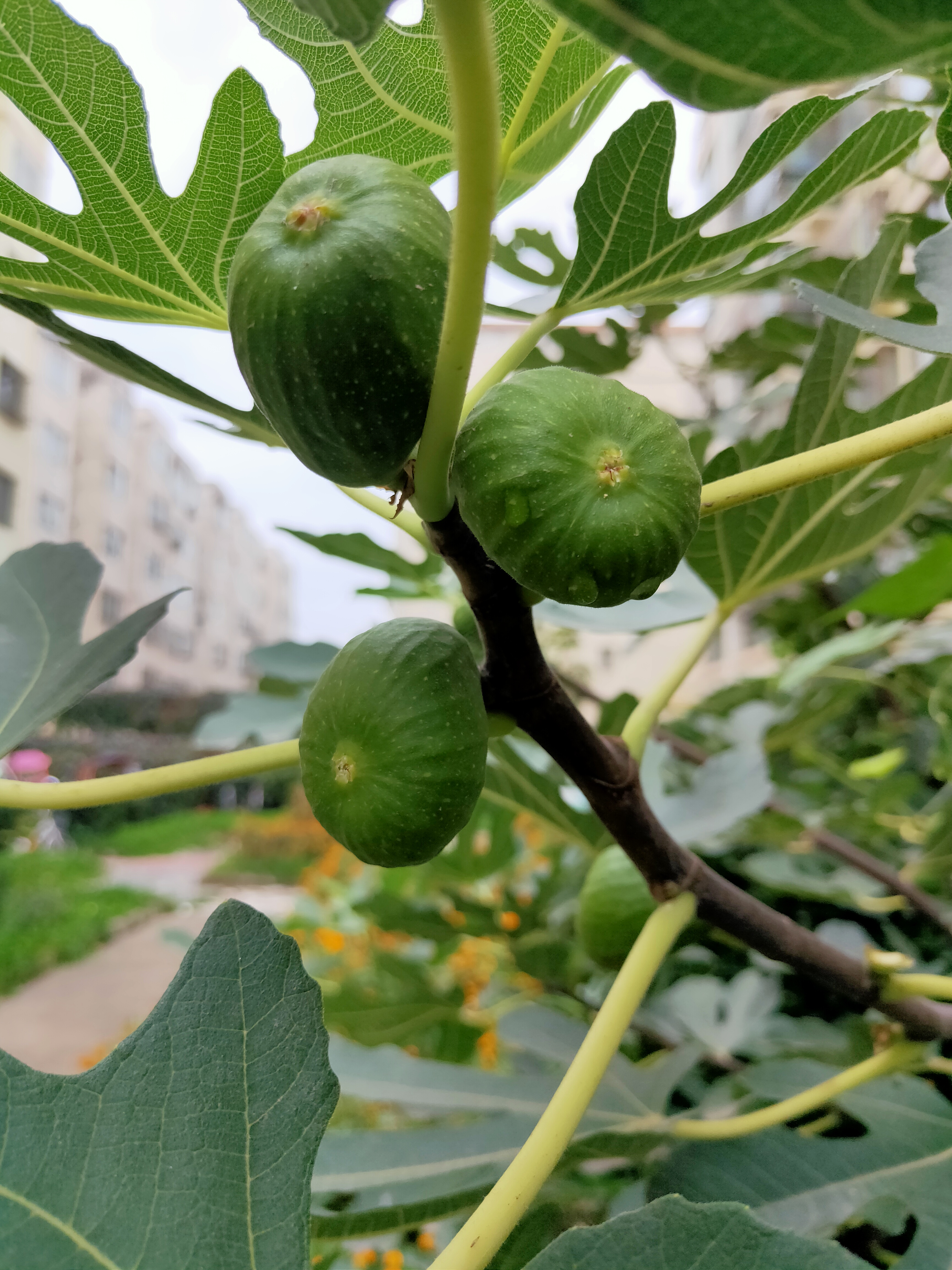 甘肃省2020年正高级教师评审条件,2021甘肃正高级教师通过名单