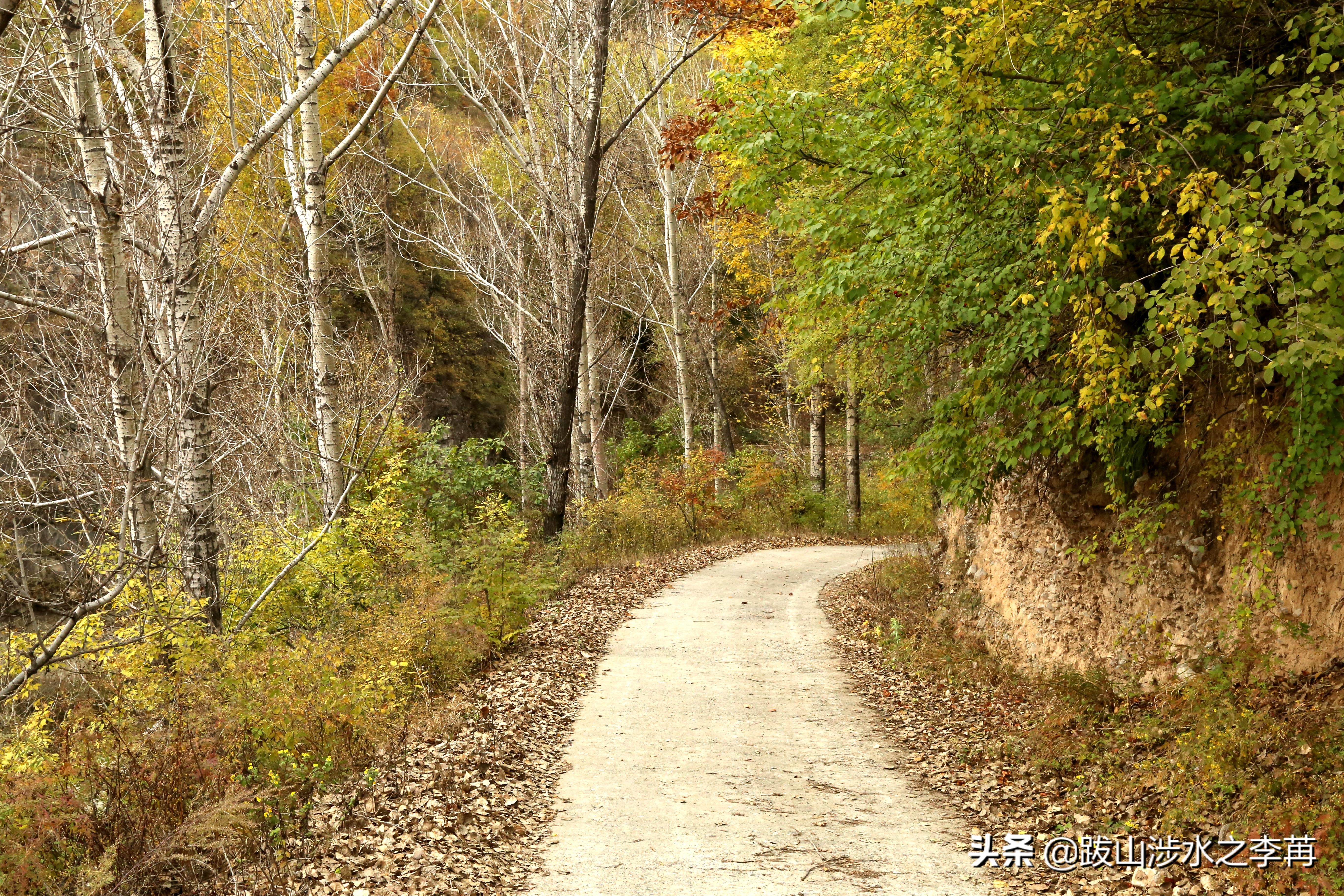 深藏在太行山中的古村落竹林沟,深山沟里的绝世古村