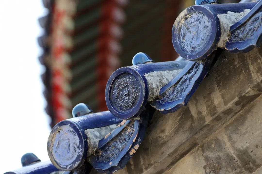 佳能rf100-500mm镜头拍鸟,佳能长焦相机100倍