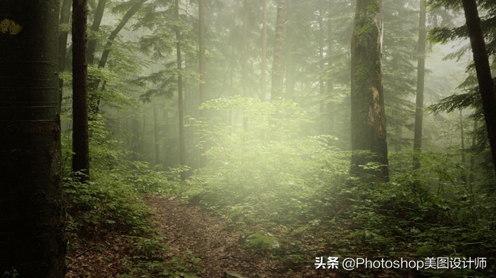 新手如何学习ps,ps手把手教你学会新手入门