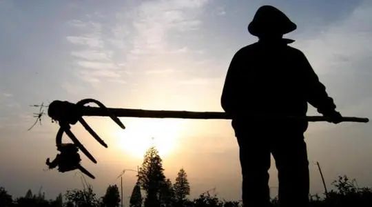 骨质疏松椎体压缩性骨折发病率,压缩性骨折抗骨质疏松治疗