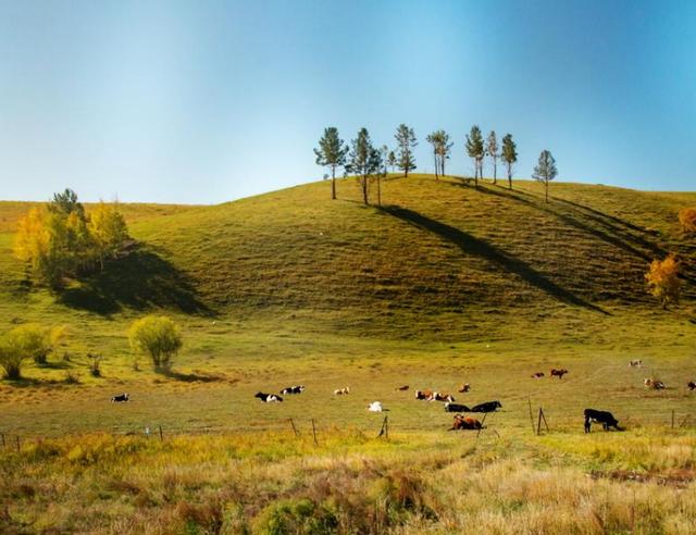 期货如何每日1万收益,期货日内盈利13万解读