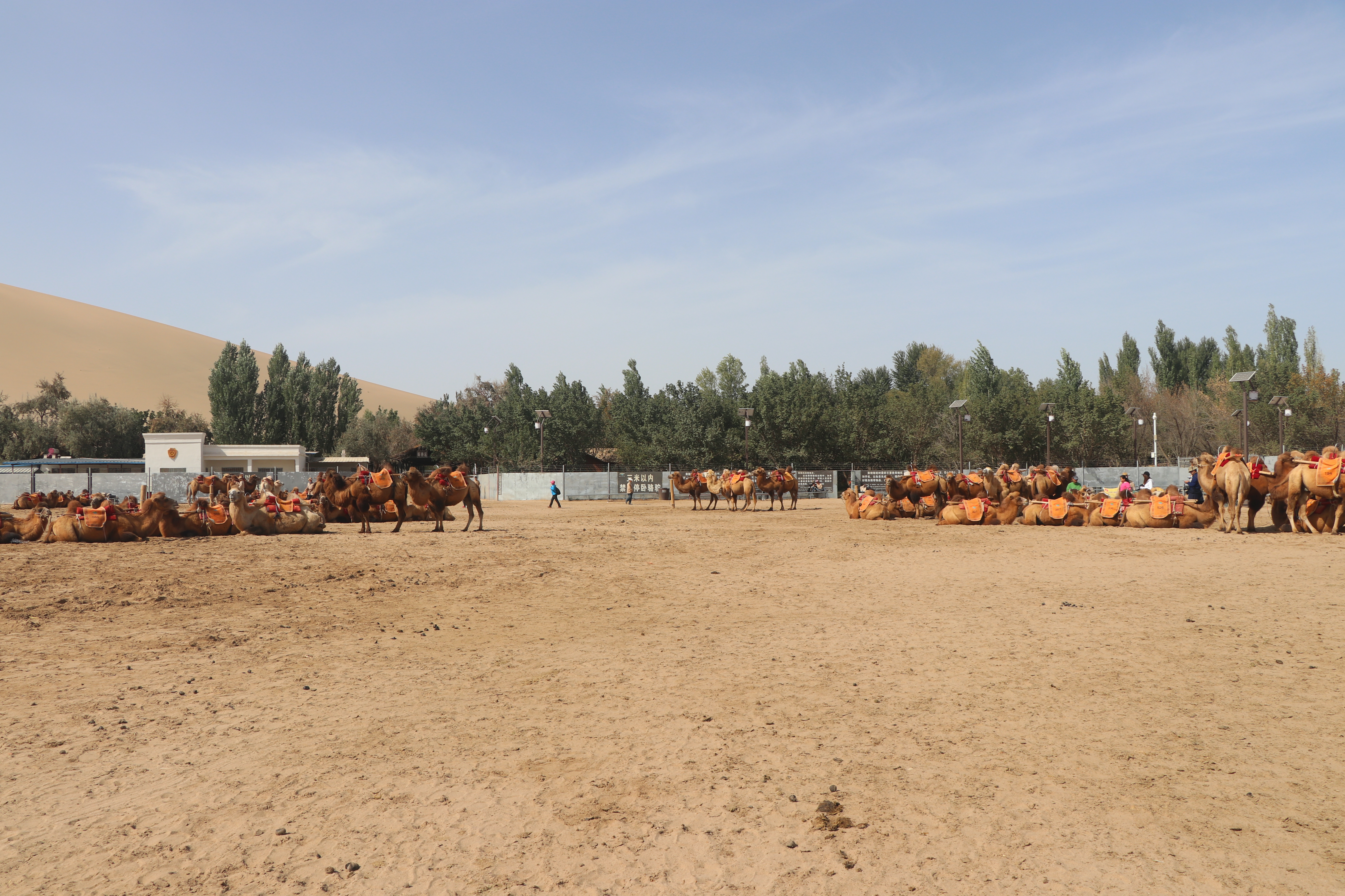 敦煌旅行攻略,敦煌莫高窟之行