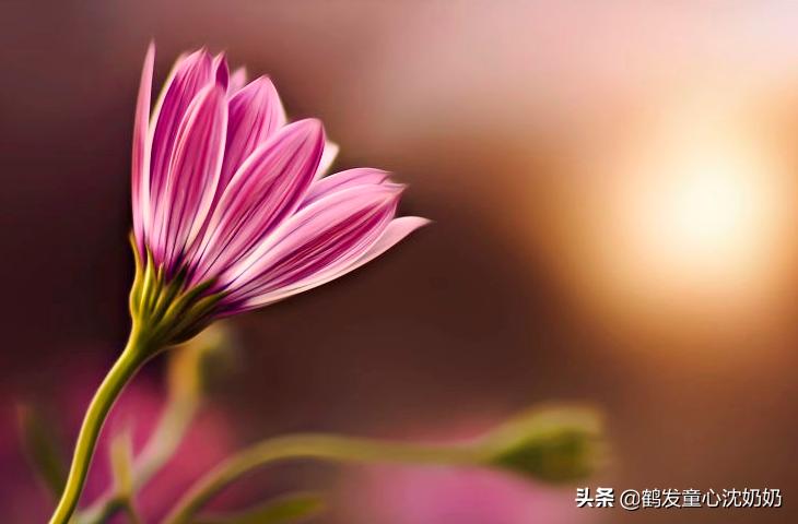 冷战后和女朋友道歉的话该怎么说,情侣冷战刚和好怎么化解尴尬