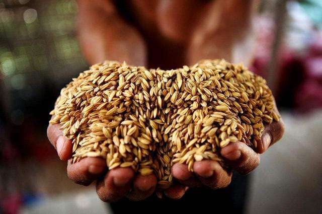 我们应该怎么办,我们应该怎么办呢图片