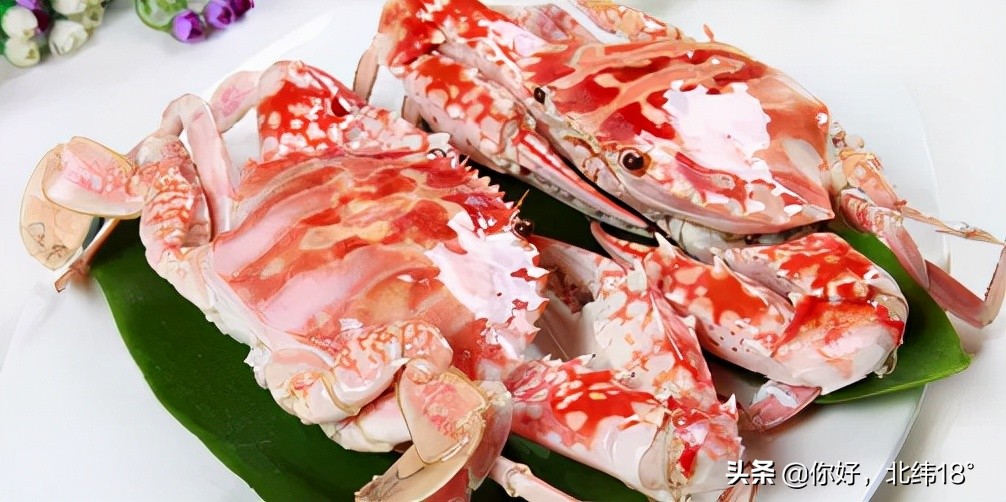 攒了好久,才攒出这份超实用的星级海鲜商家名单