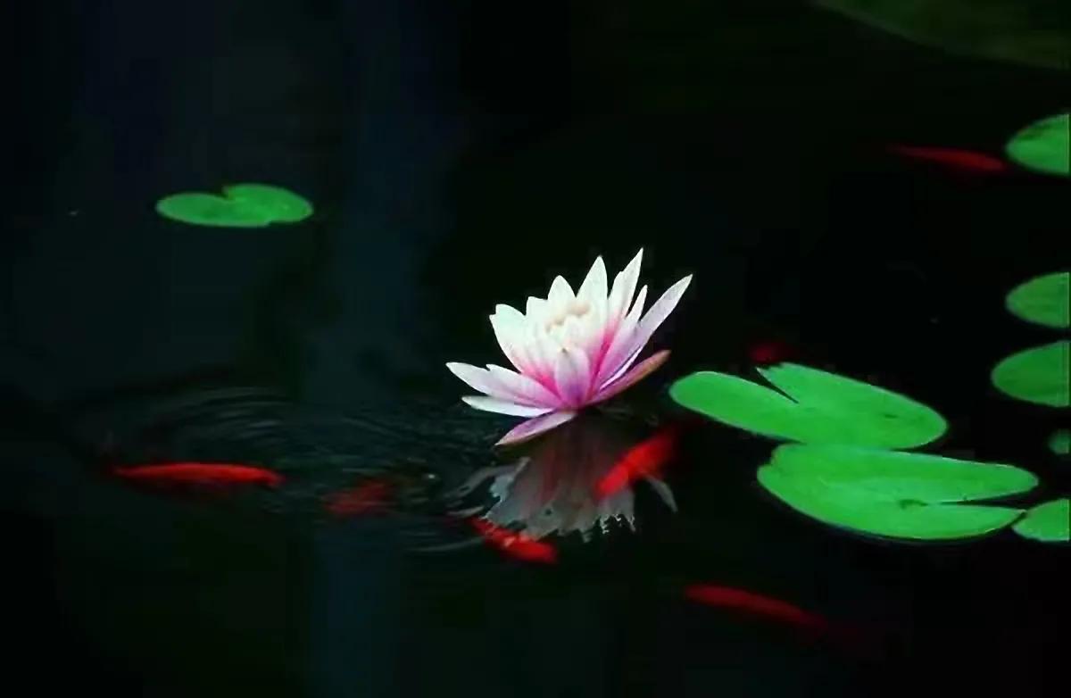 装假牙的感受,假牙真实感受