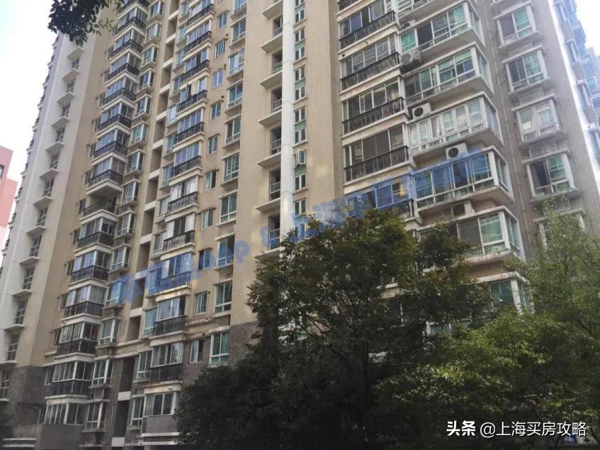 上海杨浦二师附小小学生家长,上海杨浦二梯队小学怎么样