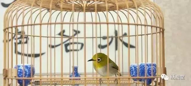 纹绣的基本知识和理论,养绣眼讲究