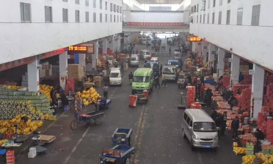 日本青提真是进口水果吗,日本进口青提糖