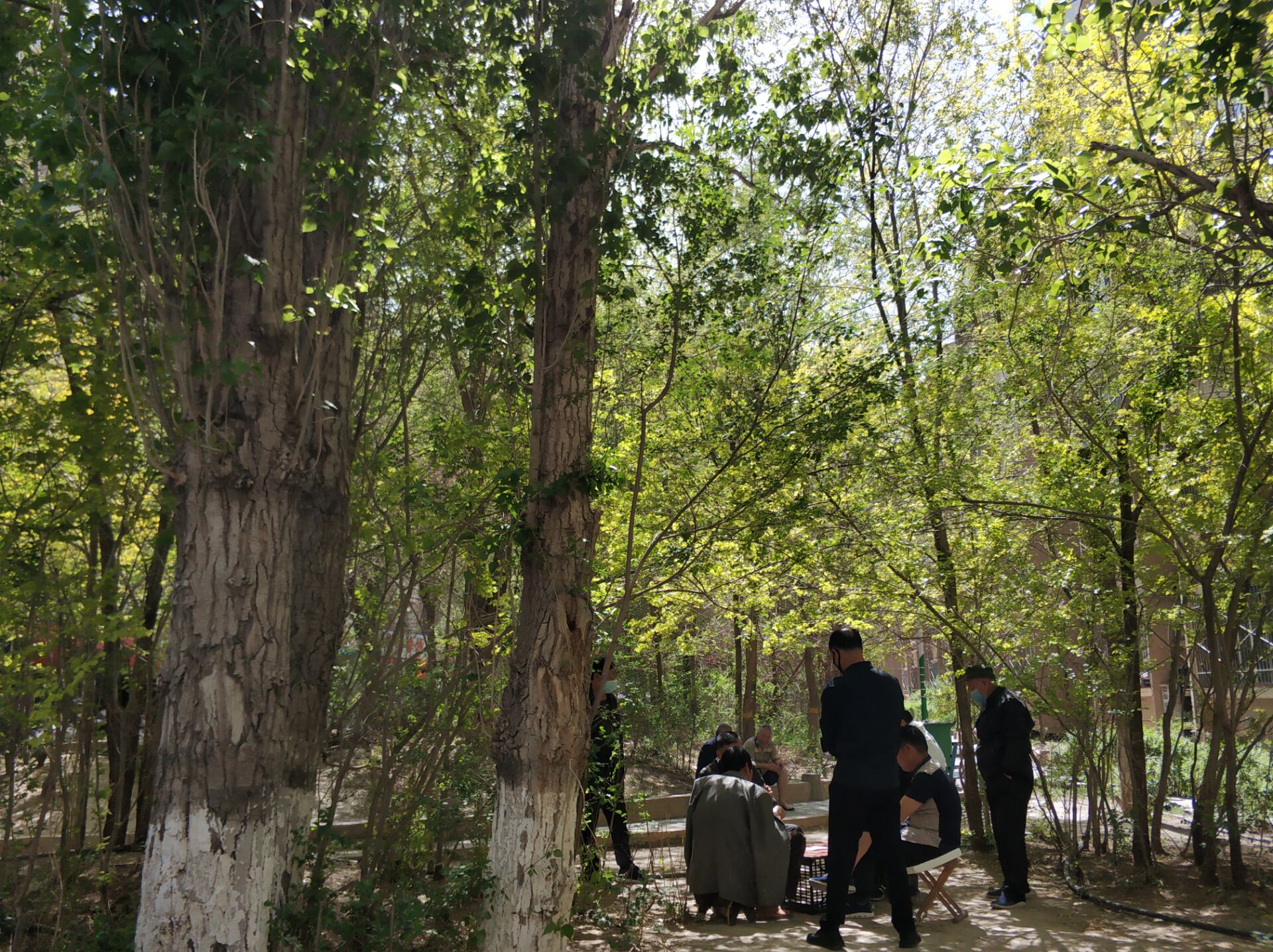 乌鲁木齐居然有这么漂亮的地方,乌鲁木齐周边森林公园在哪里