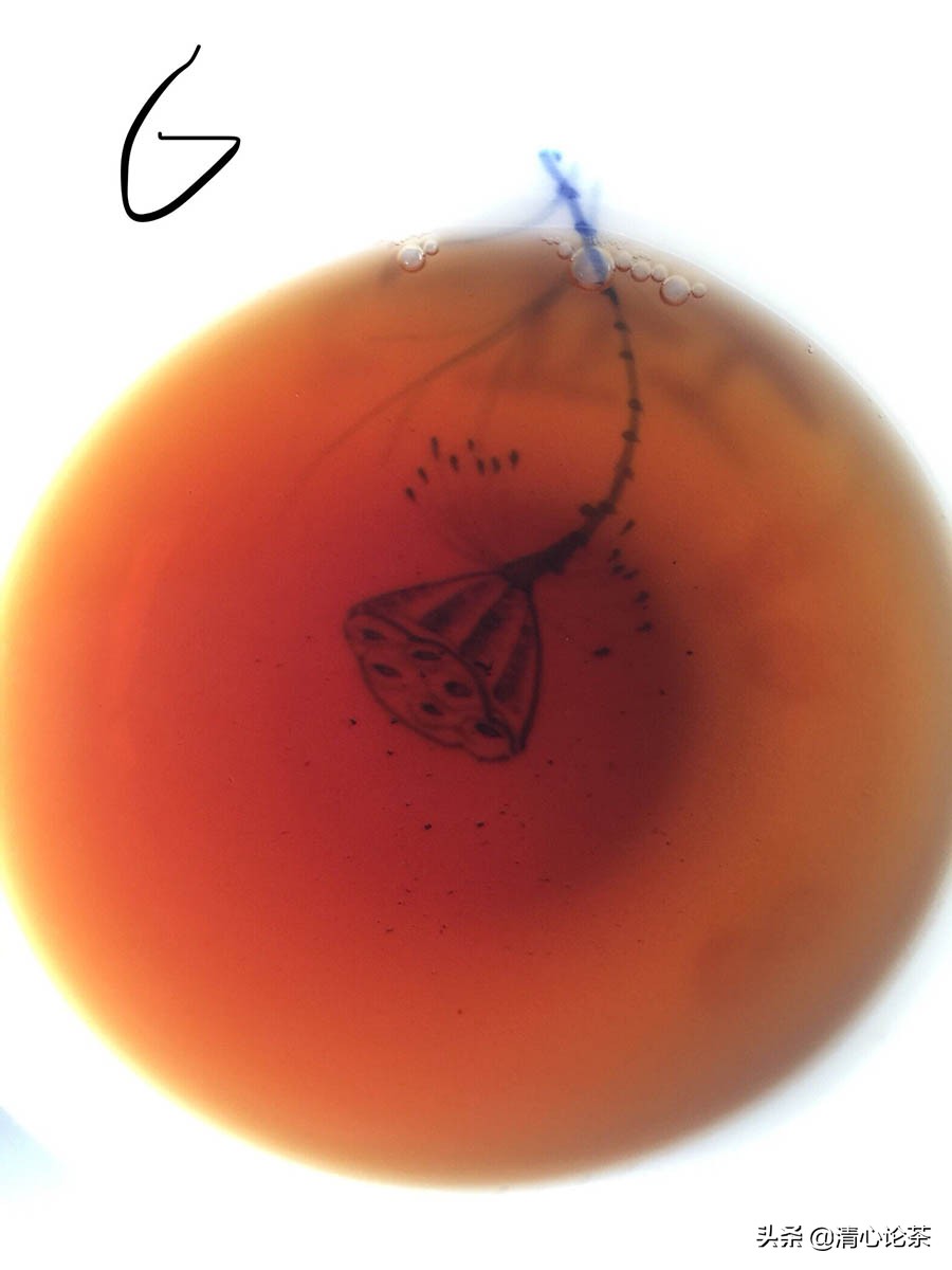 熟茶有霉点,买普洱茶最怕什么