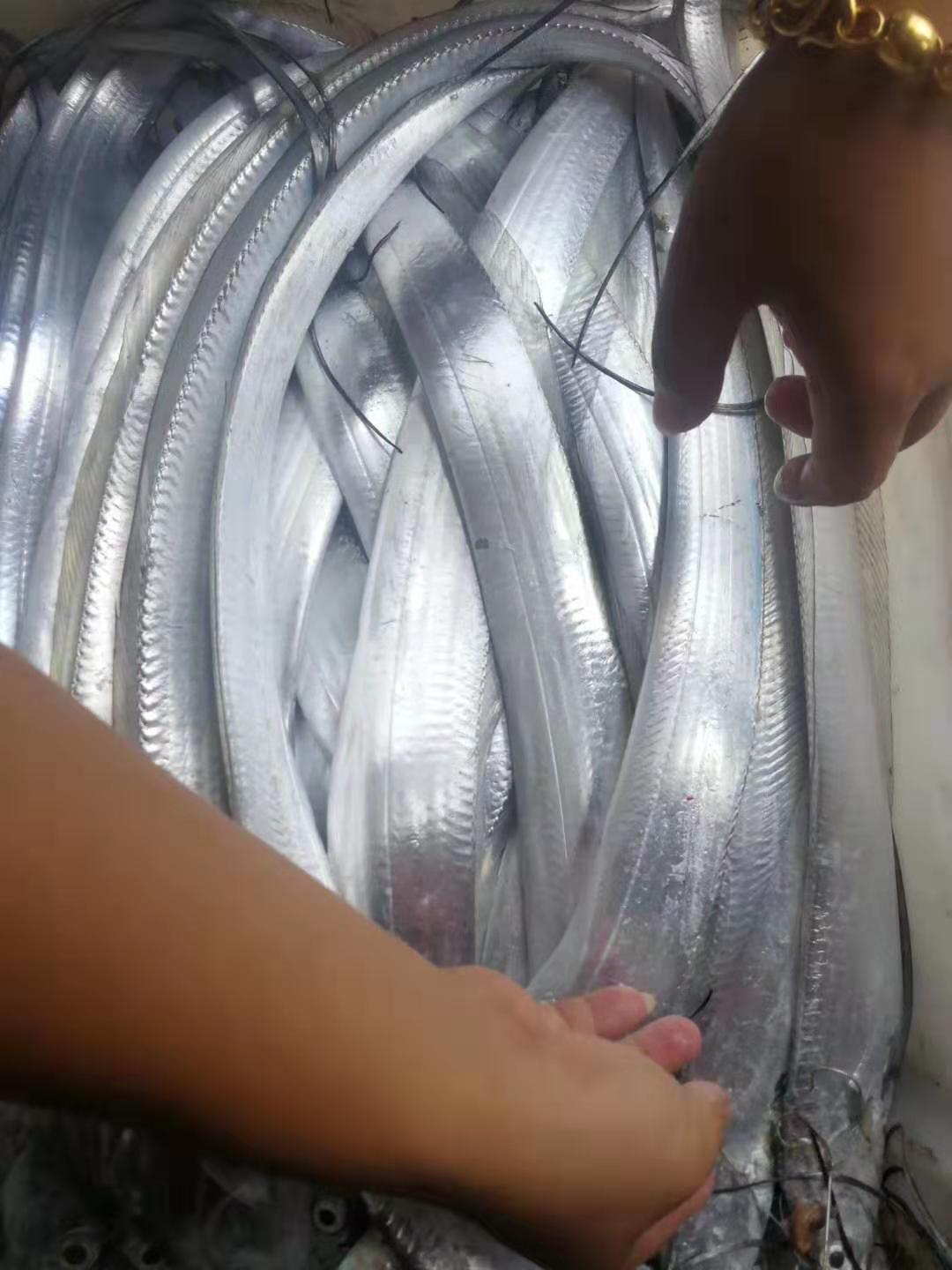 东海海鲜美食大全,家乡特色海鲜美食