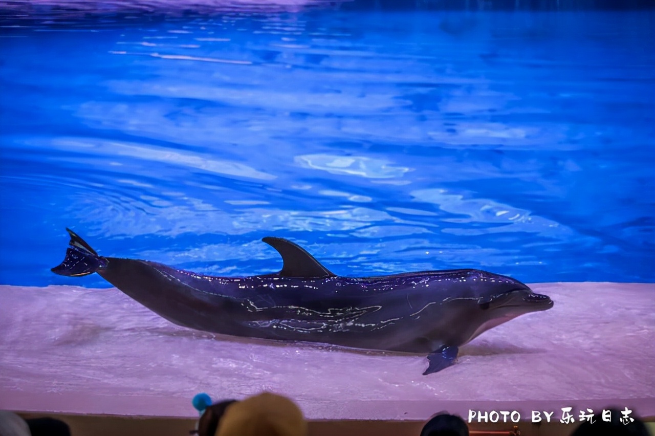 来珠海旅游必打卡的景点,春节珠海亲子游玩地方推荐