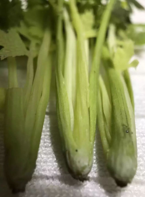 一个90后全职妈妈,一个90后的全职妈妈