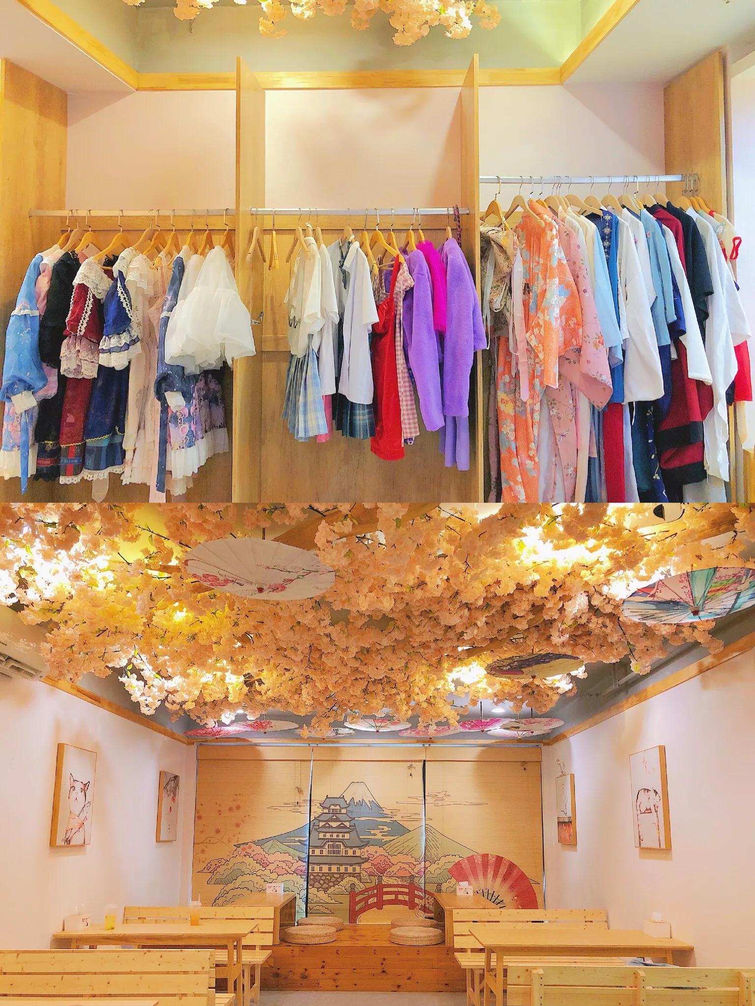 重庆探店｜换装撸猫撸羊驼撸龙猫，高萌预警