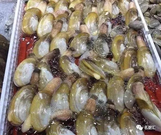 世界顶级十大海鲜,十大顶级海鲜价格排行榜