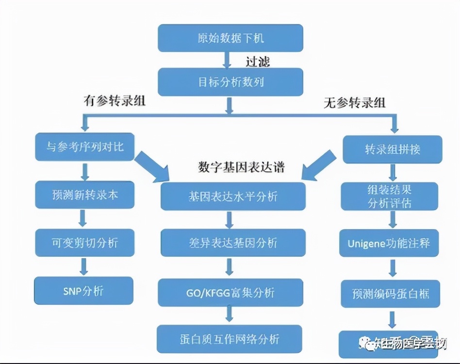 生物信息学入门的87个名词,一张表看懂生物信息学