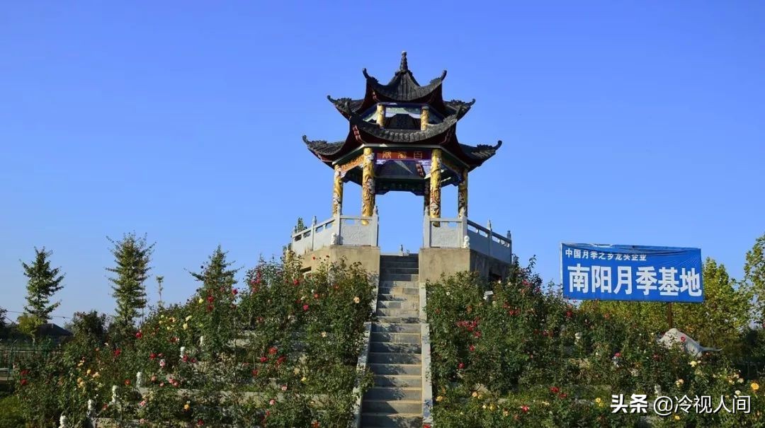南阳怎样？看完你也会说“中！中！中！”