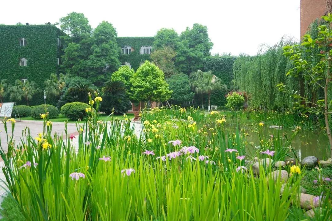 2023年四七九能全省招生吗,四七九自主招生录取线