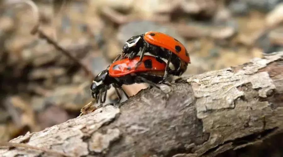 「盆腔炎」会导致不孕？这些坏习惯你可能每天都在做