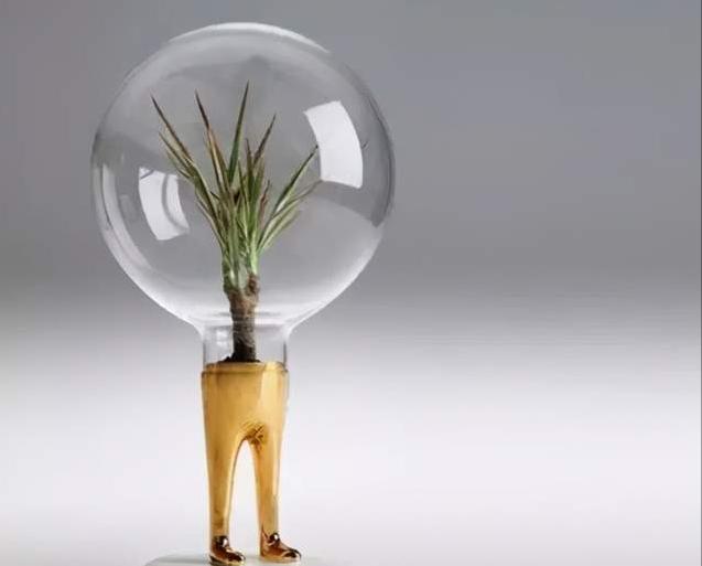 中药为什么能治病原理,中药为何有效果