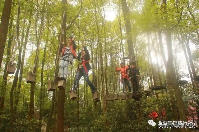 无标题文章的对联,无标题文章解析