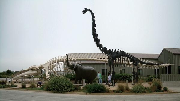 远古时期巨兽,盘点远古巨兽有多强