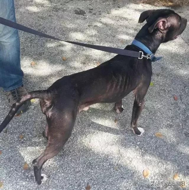 闻毒品味会有危害吗,闻毒品气味算吸毒吗