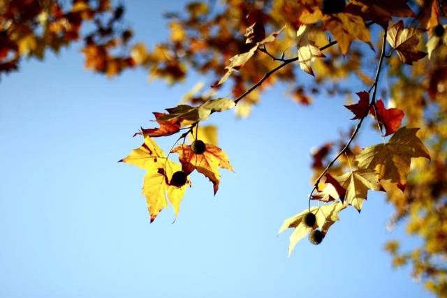 肾虚是精神障碍吗,肾虚其实是心理疾病