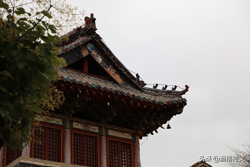 瑙︽懜涔℃剚鍙よ瘲鍥剧墖,瑙︽懜涔℃剚