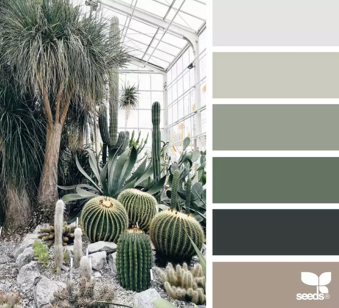 6种配色色卡,设计师最全万能配色色卡