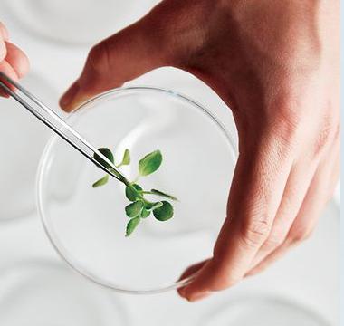 不畏秋老虎，通过保湿就能复活你的小脸蛋