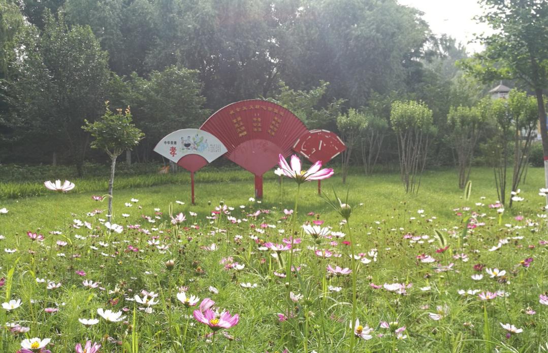 映日荷花别样红湖中美景,莲叶无穷碧映日荷花别样红美景