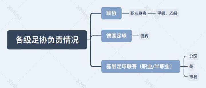 我心中的理想国,我心中的足球国家队