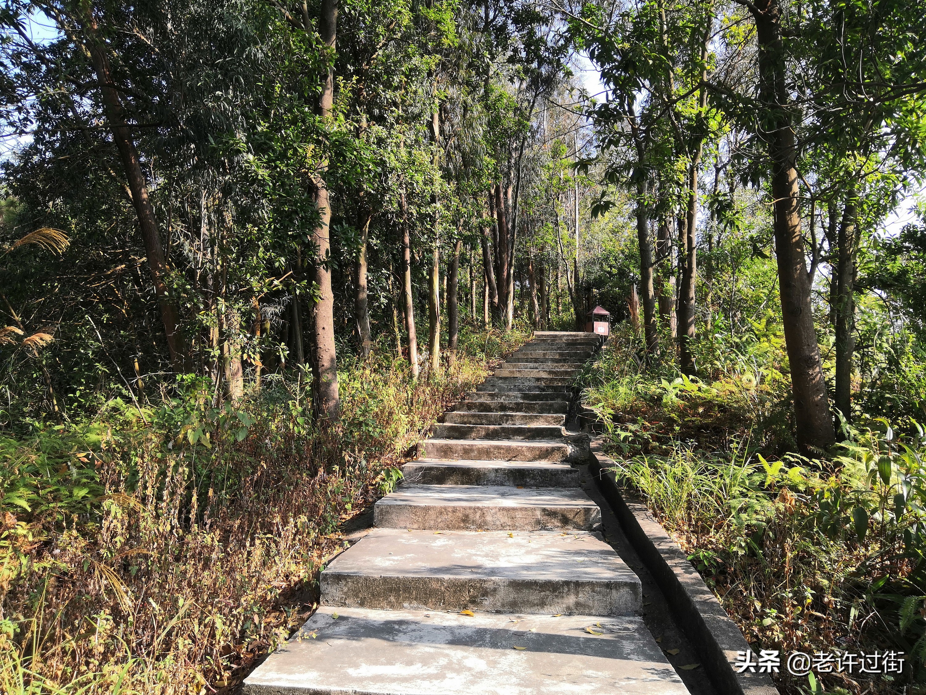 鐝犳捣姘у惂,鐝犳捣绌烘皵姘у惂