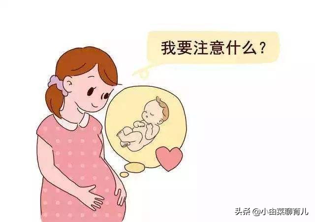 怎么查自己是否怀孕？学到知识，早日当上中队长！