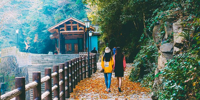 一起游玩泰顺,小众旅游泰顺