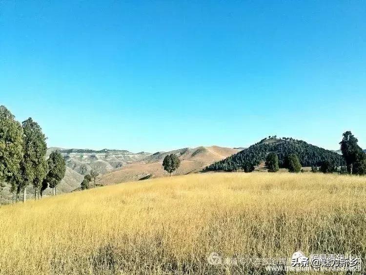 辉县张北草原冬天自驾游,辉县张北草原自驾游一天攻略