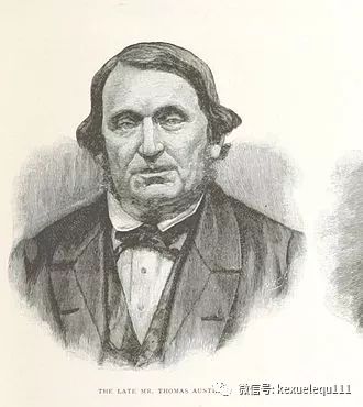 杀死兔子的方法,杀死兔子有什么后果