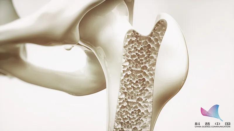 学生掰手腕致骨折原视频,学生掰腕子骨折视频