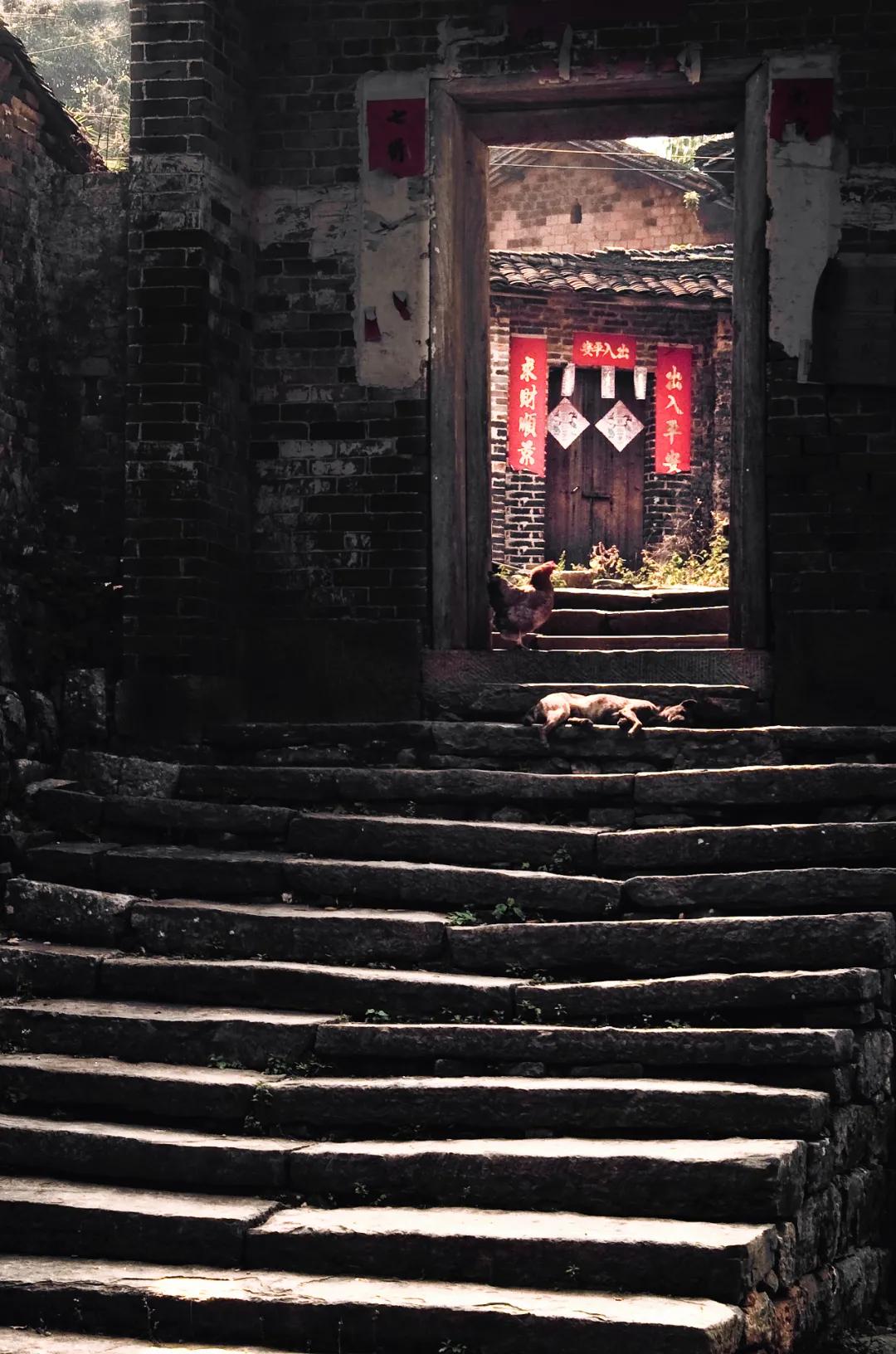 一条老狗书籍,一条老狗季羡林文章读后感