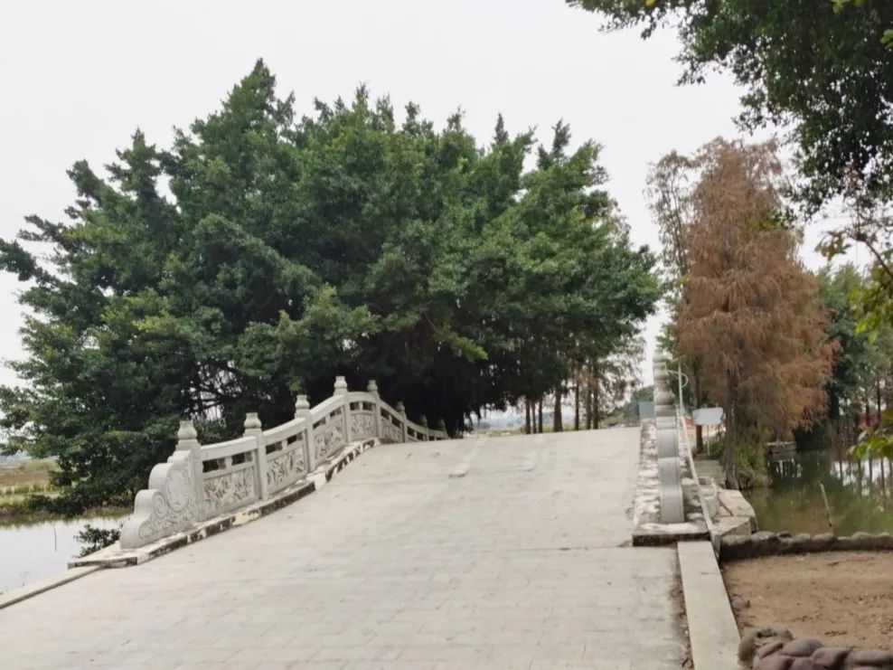 吴川一老先生归乡游玩,抒发家乡社会主义新农村建设有感