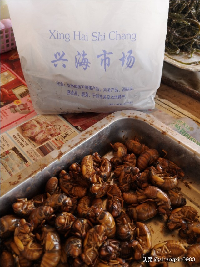 娴烽槼纰ф鍥紨鍞变細,娴烽槼涓佸瓧婀剧ⅶ妗傚洯