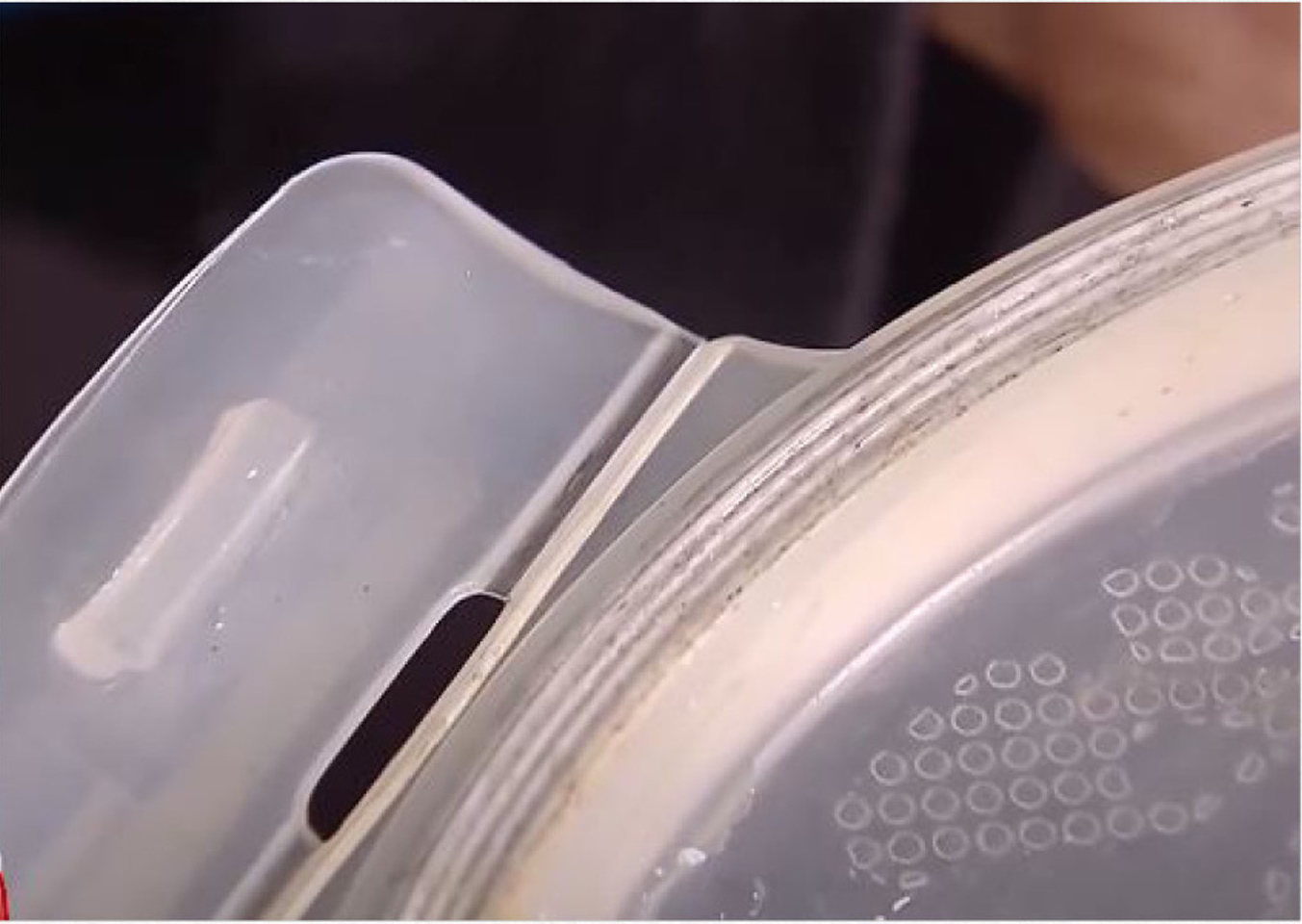 儿童食物饭盒胶圈暗藏致病菌,对孩子健康影响大,家长务必要牢记